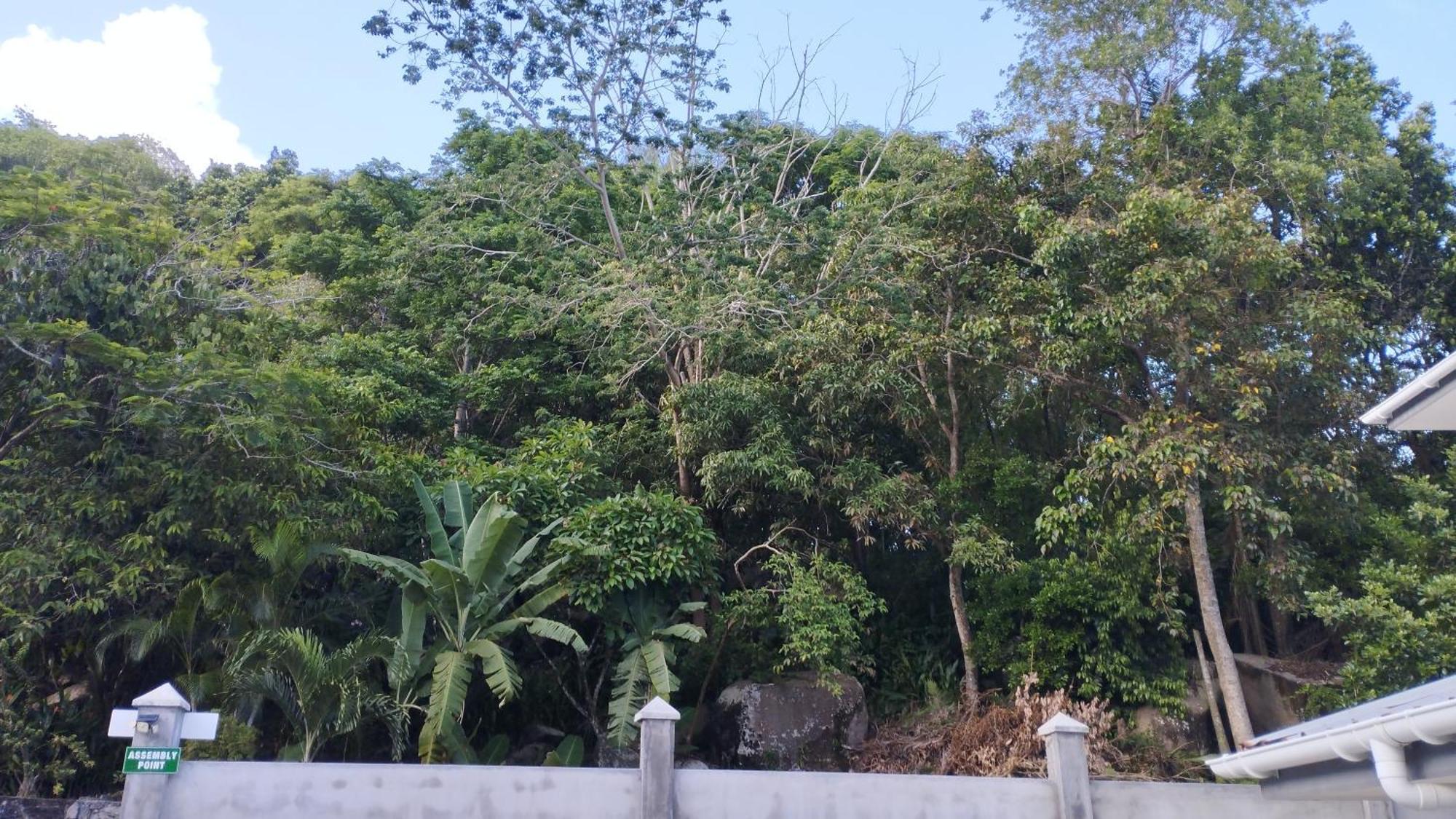 Dovass Self Catering Apartments 塔卡马卡 外观 照片