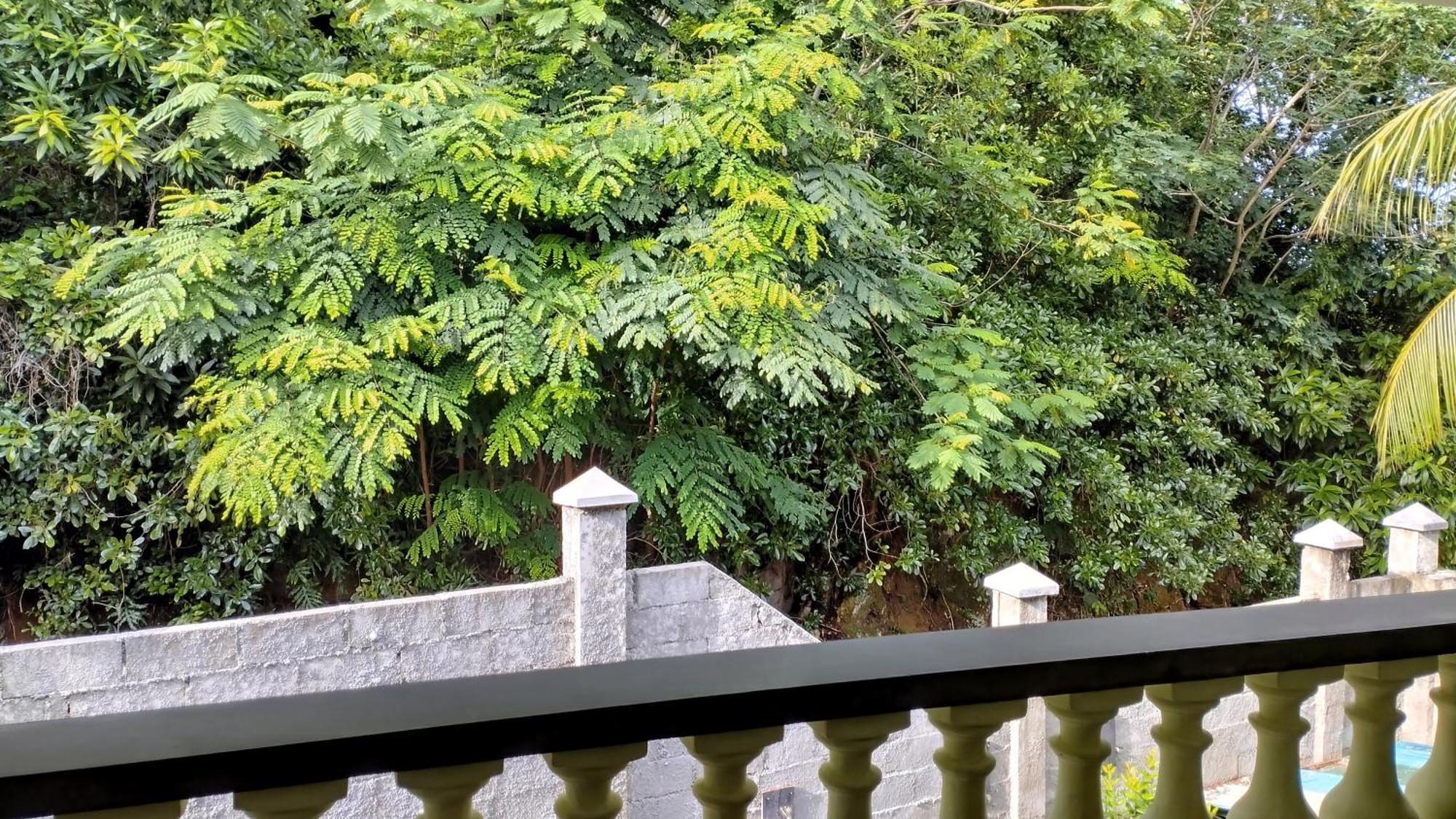 Dovass Self Catering Apartments 塔卡马卡 客房 照片